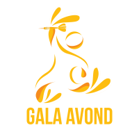 D.C-2370 Gala Avond